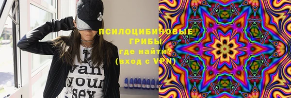 сатива Верхнеуральск