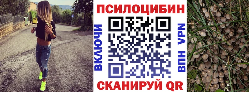 цена наркотик  Буй  Галлюциногенные грибы Cubensis 